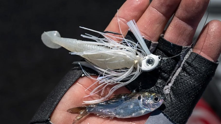 Swim Jig Gear Guide